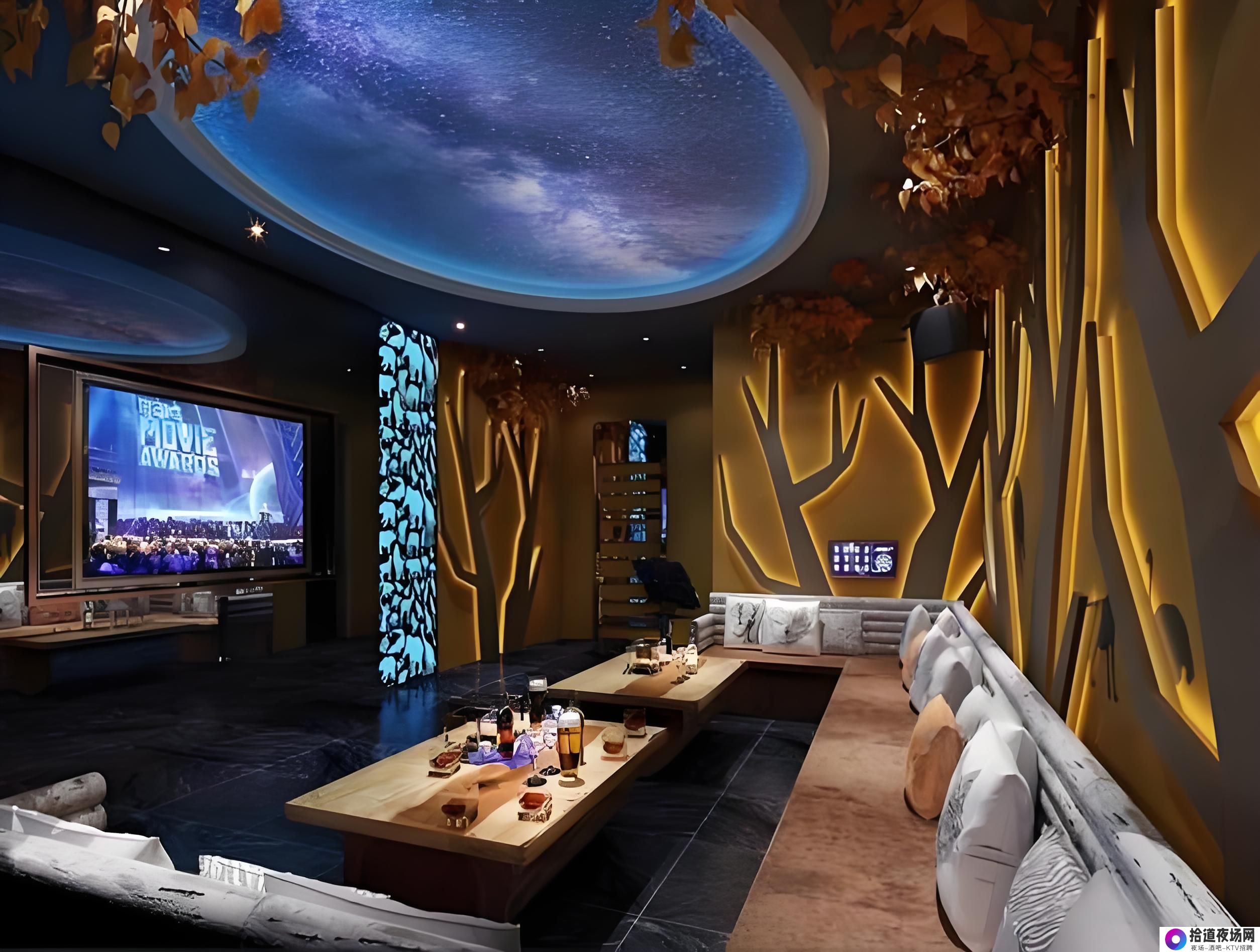 夜场工作全览：城市夜色中的职业探索